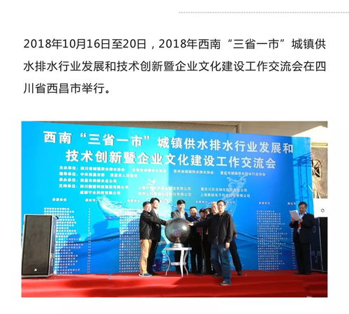 靓固集团参与2018年西南三省一市城镇供水排水行业发展与技术交流会，推动企业文化建设与艺术交流